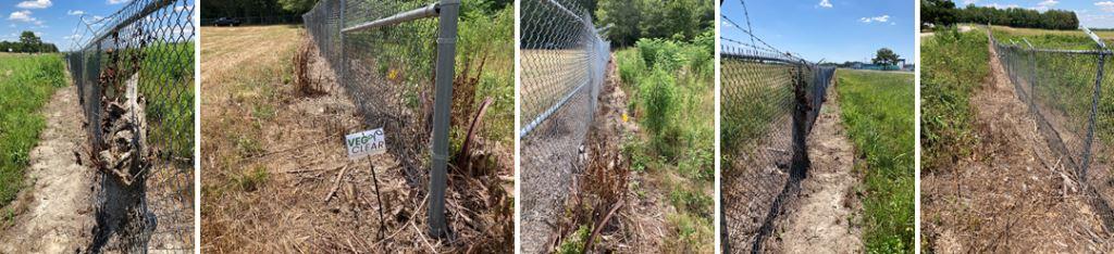 Fences Displaying the Results of Herbicide Treatment Around a Perimeter Security Barrier Kept Clear by Technicians Spraying Linearly Along East Georgia Airport Chain-Link Fence