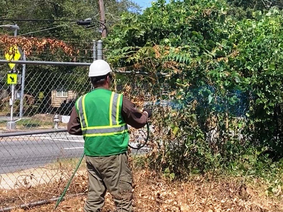 Worker in safety gear applying herbicide along a chain-link fence to control invasive vines and brush, showing VegClear’s professional vegetation management for secure and well-maintained sites