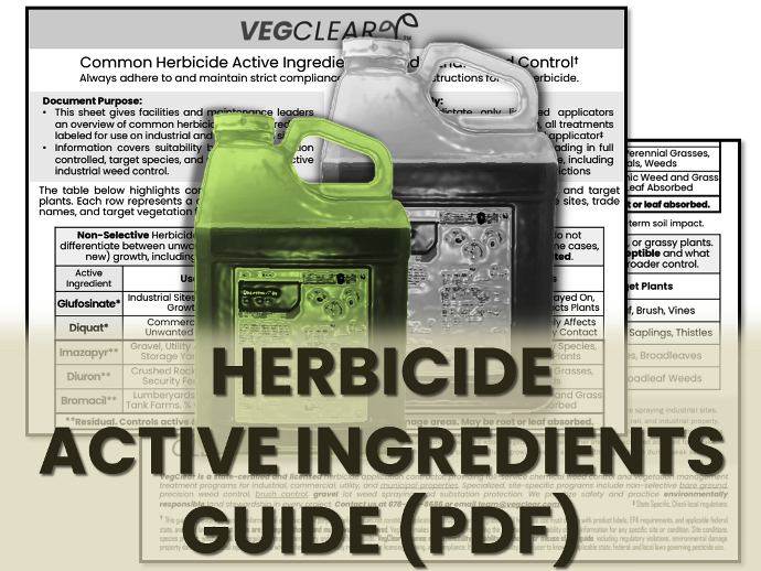 VegClear herbicide active ingredient reference guide image for industrial facilities and municipal public works managers in Georgia
