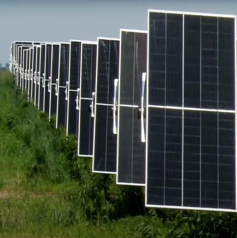 Solar Panels at a Farm With Overgrown Vegetation That May Require Herbicide Treatment or Mowing to Prevent Operational Issues