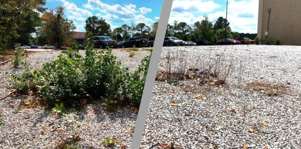 Treated Vegetation on Gravel Bareground Commercial Landscape Weed Control Service for gravel bareground, commercial parking, roadside, utility, right-of-way