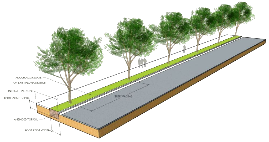 Installed landscape strip in which to plant trees which is the least complicated to implement with existing space available for planting and allows some concrete around the immediate area