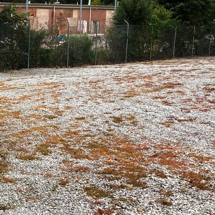 Gravel Herbicide Treatments for Commercial Properties: VegClear’s Weed Control Services for Retail Sites, Parking Lots, Industrial Facilities, and Gravel Areas