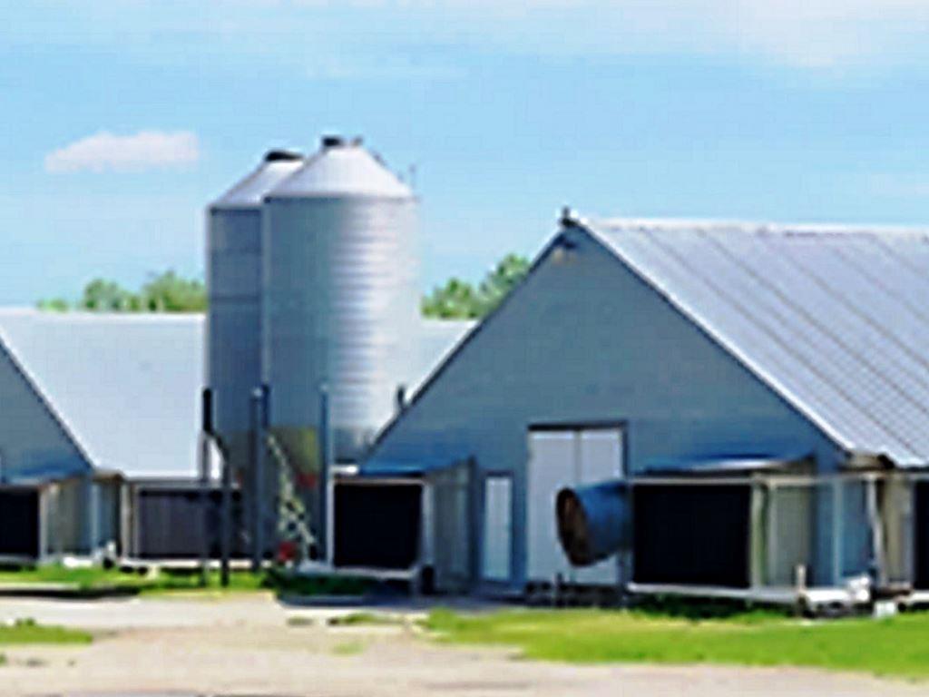 Poultry house with metal roof, service access lanes, and gravel drive, showing typical farm sites treated by VegClear for weed and grass control along fencelines, gravel lots, and driveways to maintain clean, compliant poultry house operations.