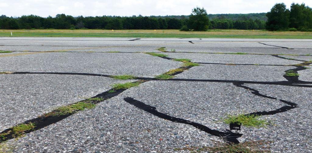 Close-up of cracked airport taxiway pavement with vegetation emerging through sealant joints, including annual bluegrass, spotted spurge, and dallisgrass. Image illustrates the need for targeted herbicide treatments and surface maintenance to prevent FOD and pavement damage on active airfields.