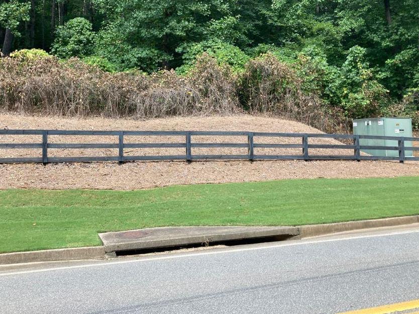 Roadside brush and vine control along a utility corridor and drainage area. Herbicide-based vegetation management improves visibility, access, infrastructure protection, and long-term maintenance efficiency.