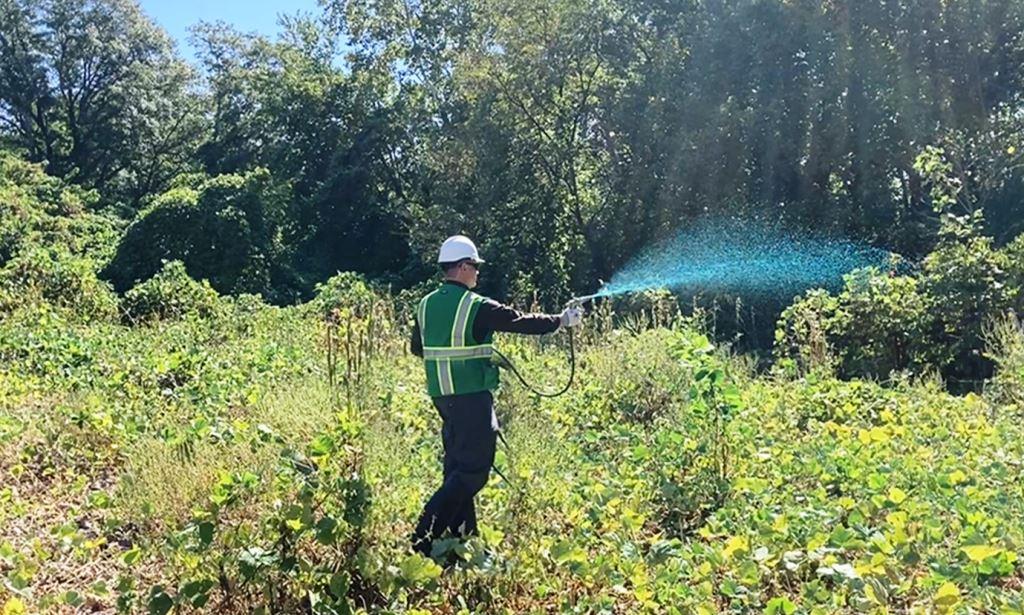 Technician applies directed foliar herbicide to invasive vegetation under an integrated vegetation management program on site