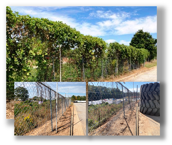 Fence line vegetation control at an industrial truck court with cleared access and improved site visibility after VegClear's treatmentp program has the growth under control