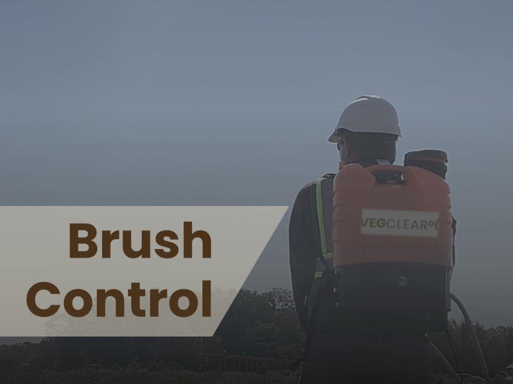 Backpack sprayer technician performing brush control in the Southeast, applying selective herbicide for industrial sites, substations, rights of way, and commercial properties to maintain clear access and safety.