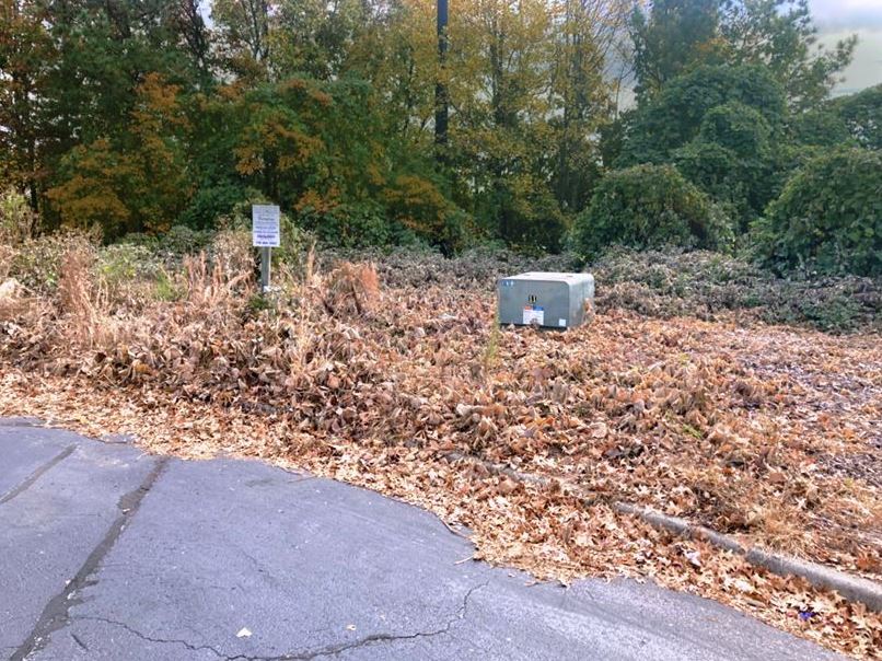 Industrial property after VegClear treatment, controlling kudzu