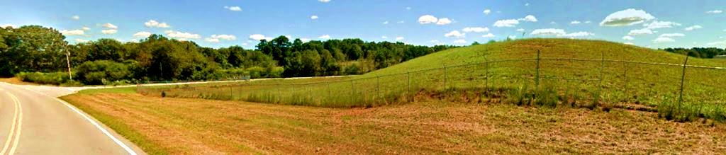 Image 1 (Before): An airport fence line covered with overgrown vegetation, including tall weeds and brush, obstructing visibility and access. This image highlights the need for vegetation management to maintain safety, security, and compliance around commercial and industrial fence lines