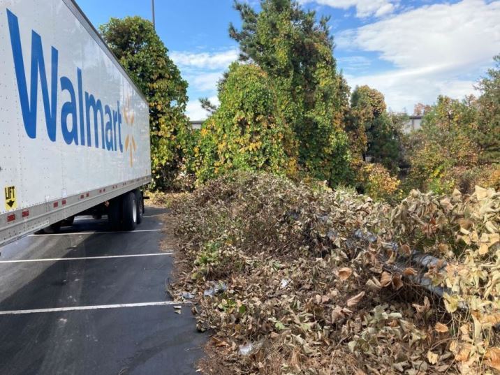 Wholesale club commercial property with vegetation control by VegClear.