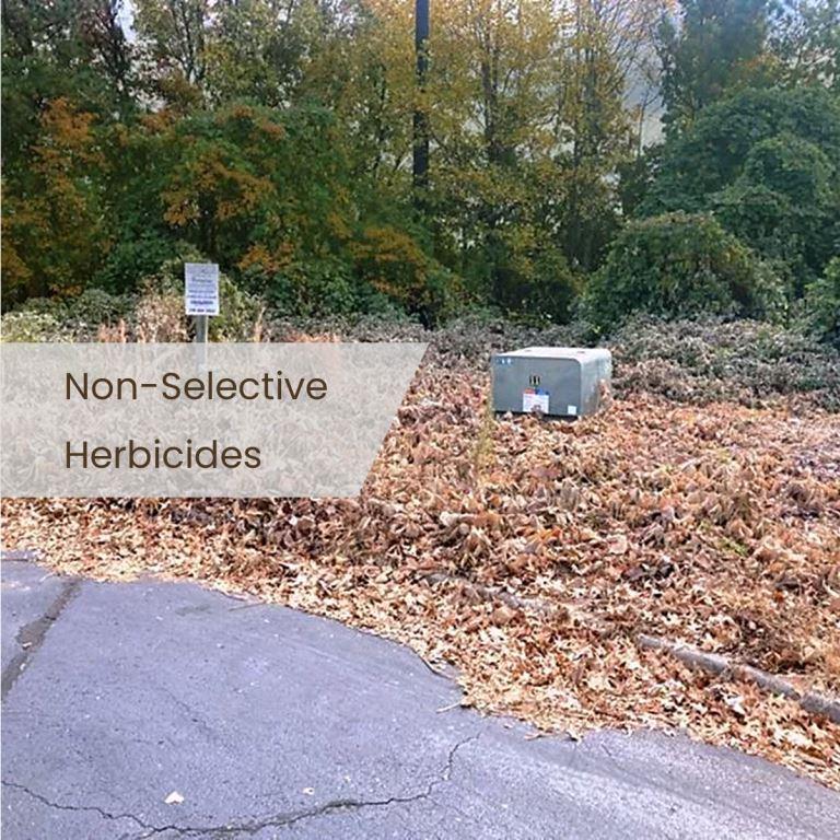 Non-selective herbicides for total vegetation control using foliar or soil absorption
