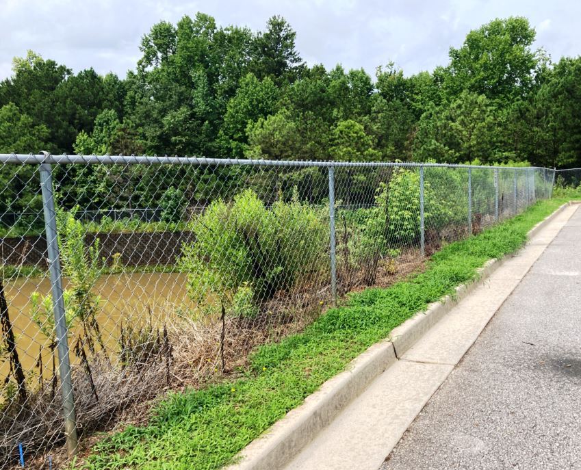 Invasive Vegetation & Noxious Weeds Controlled with a custom, site-specific weed control vegetation management near me for municipal agencies