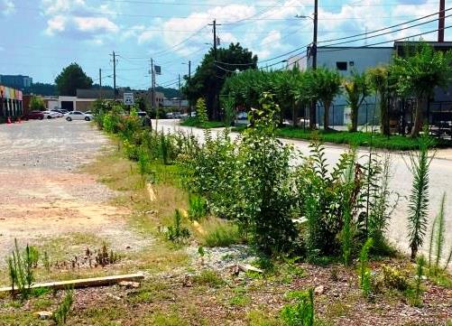 Industrial property lack of maintenance and cross contaminated seed introduction from no preemergence