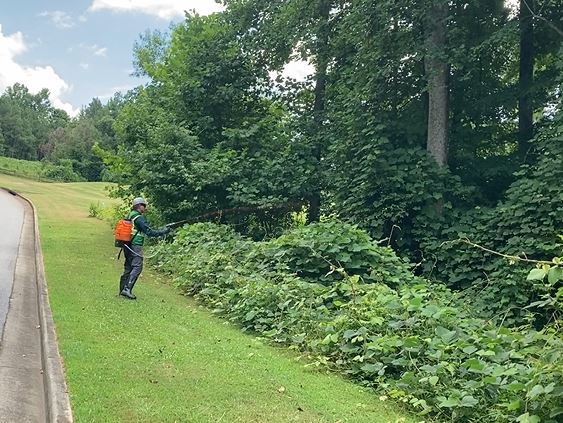 VegClear Serves South Carolina Property Managers with Routine Grass and Weed Control, Vegetation Management, and Herbicide Spraying for Commercial Properties, Including Gravel Lots, Retaining Walls, Parking Lots, and Commercial Developments.