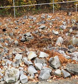After South Carolina professional spray companies treated the overgrown drainage ditches, it is revitalized by VegClear promoting effective drainage and cleared weeds for enhanced water flow.