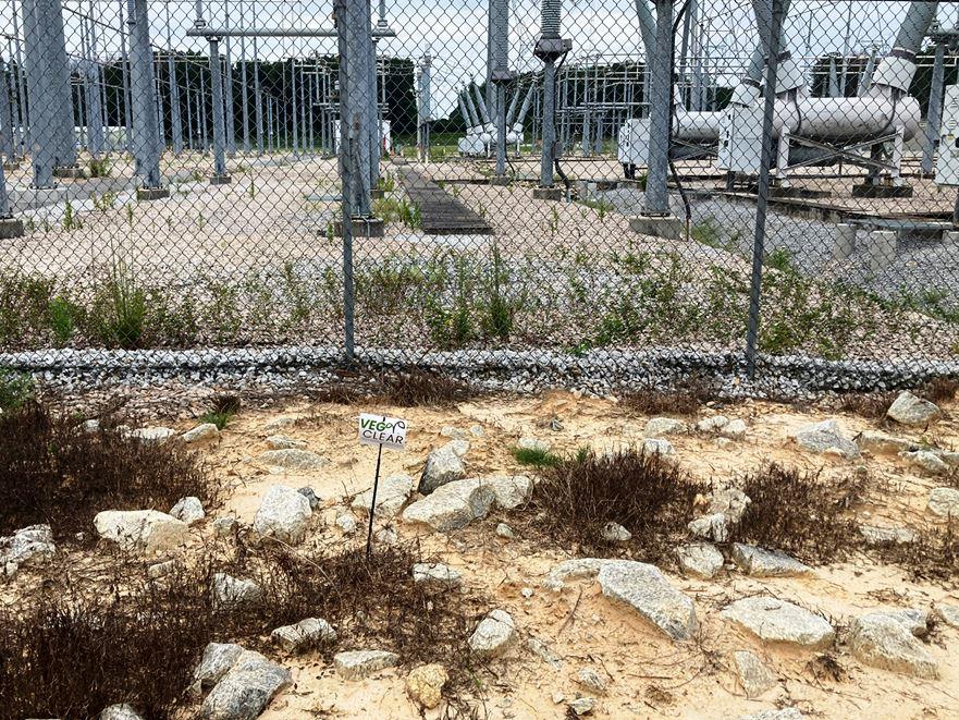 Comparison of a VegClear-treated utility substation and untreated vegetation outside the fence, illustrating long-term industrial weed control performance.