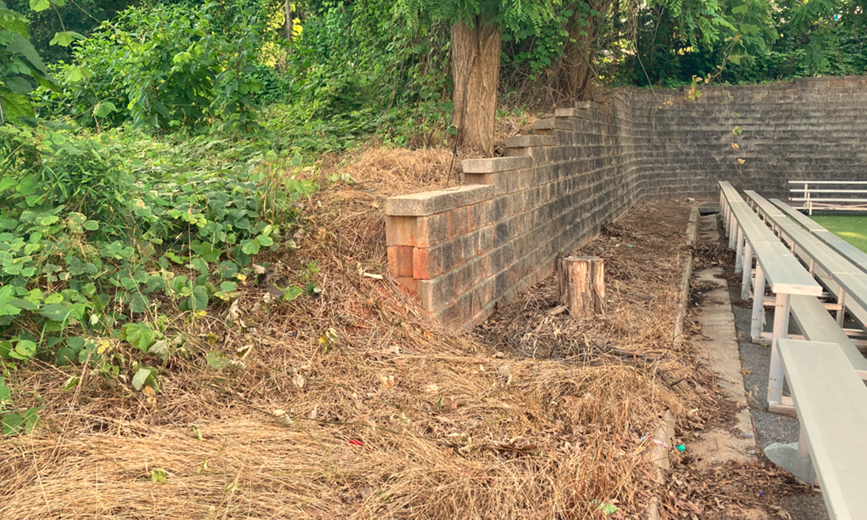 Retaining Wall After Treatment