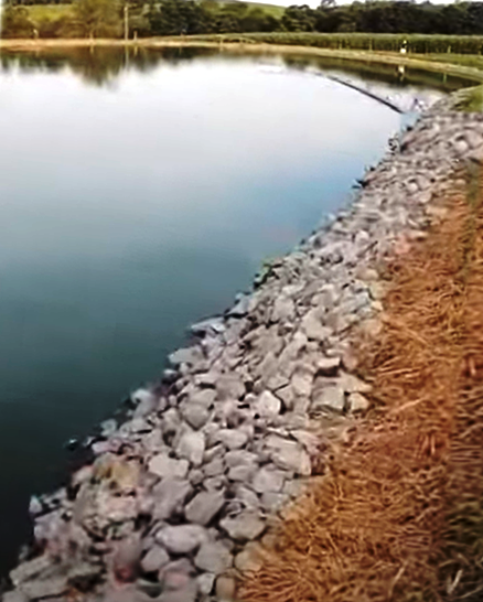 Lake Areas improved through professional spillway vegetation management programs