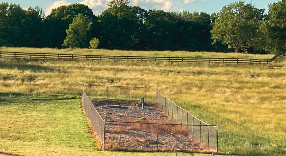 Blog Post photo of shoreline after treatment area licensed herbicide applicator selectively treats for invasive vegetation VegClear