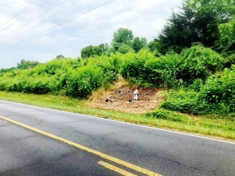 roadside safety improved through professional right of way vegetation management program