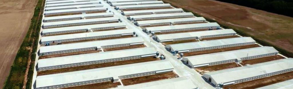 Aerial view of large poultry farm complex with multiple barns and concrete lanes, representing VegClear’s vegetation management programs for controlling weeds around barns, feed systems, and access roads.