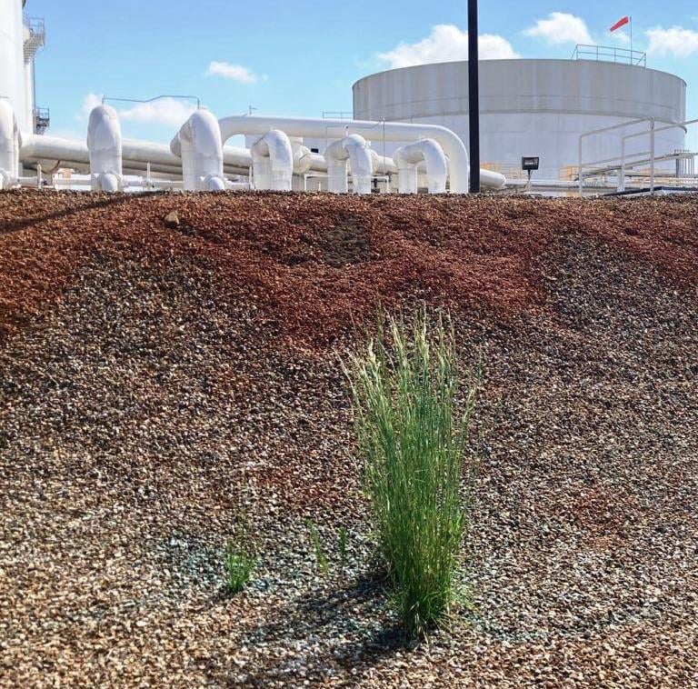 Gravel Herbicide Treatments for Commercial Properties: VegClear’s Weed Control Services for Retail Sites, Parking Lots, Industrial Facilities, and Gravel Areas