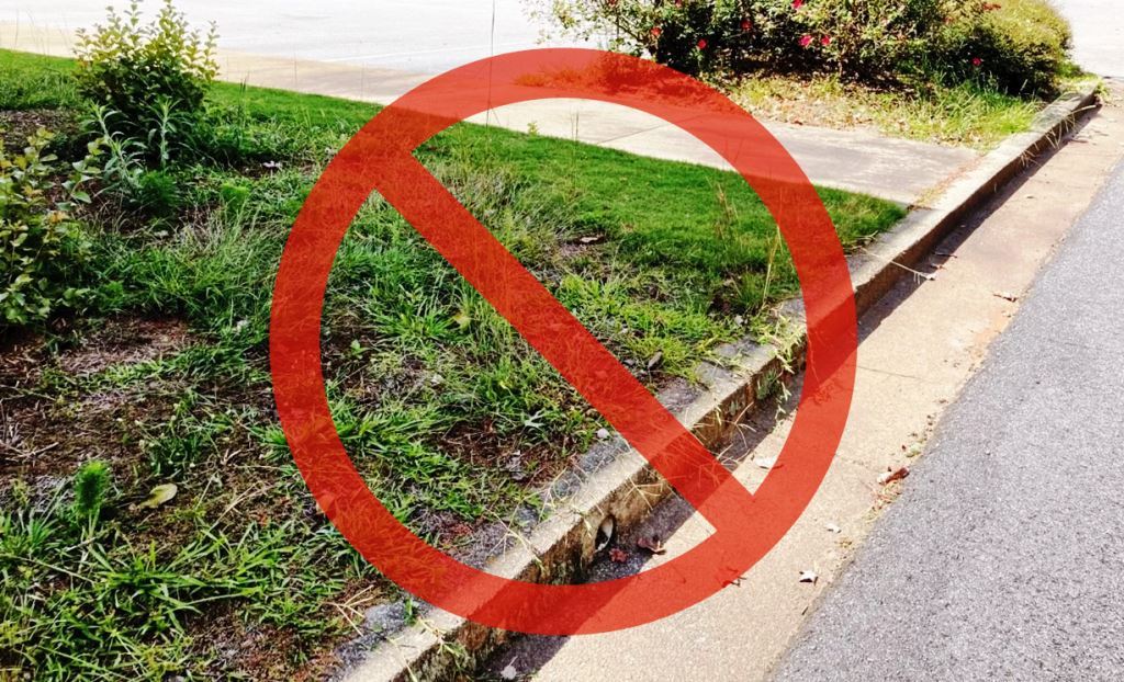 Overgrown commercial landscaped bed covered in weeds requiring herbicide treatment to supplement weekly landscape maintenance