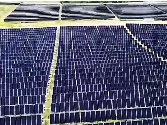 Eliminate Vegetation in Solar Areas to Prevent and Reduce Pest Hideouts, Improving Site Conditions